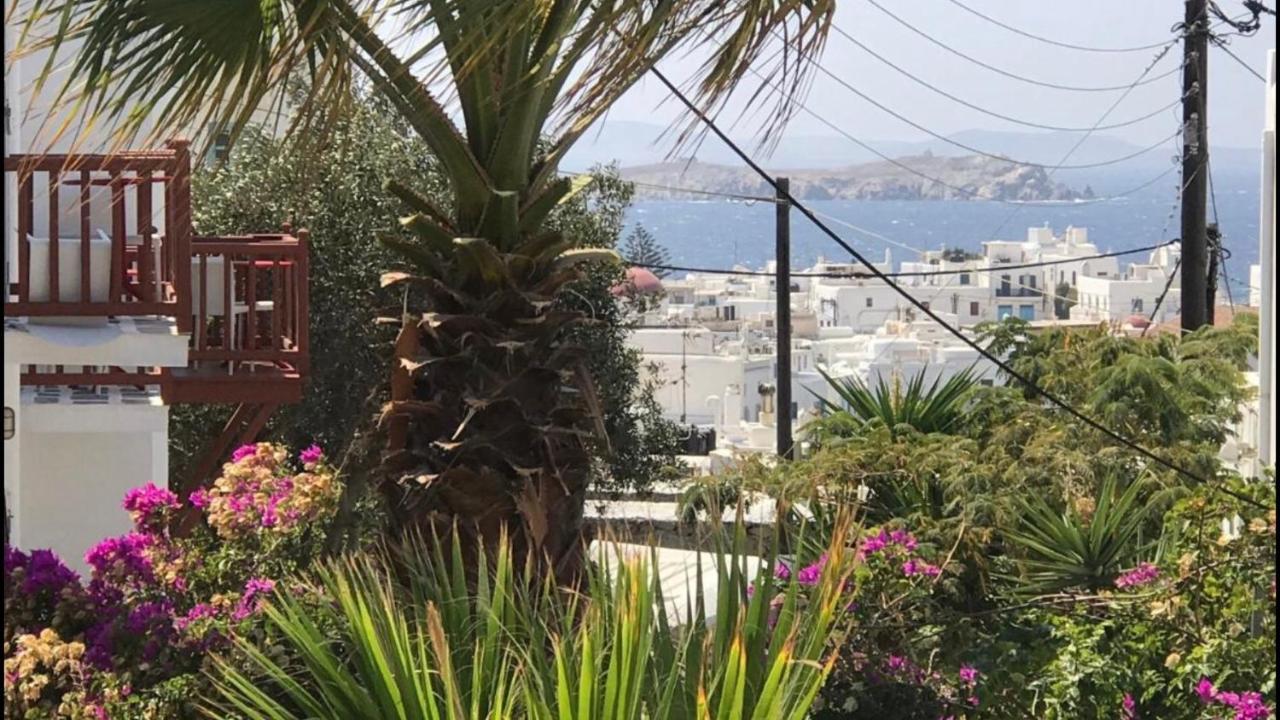 Rania Apartments Sea View Mykonos Town 外观 照片