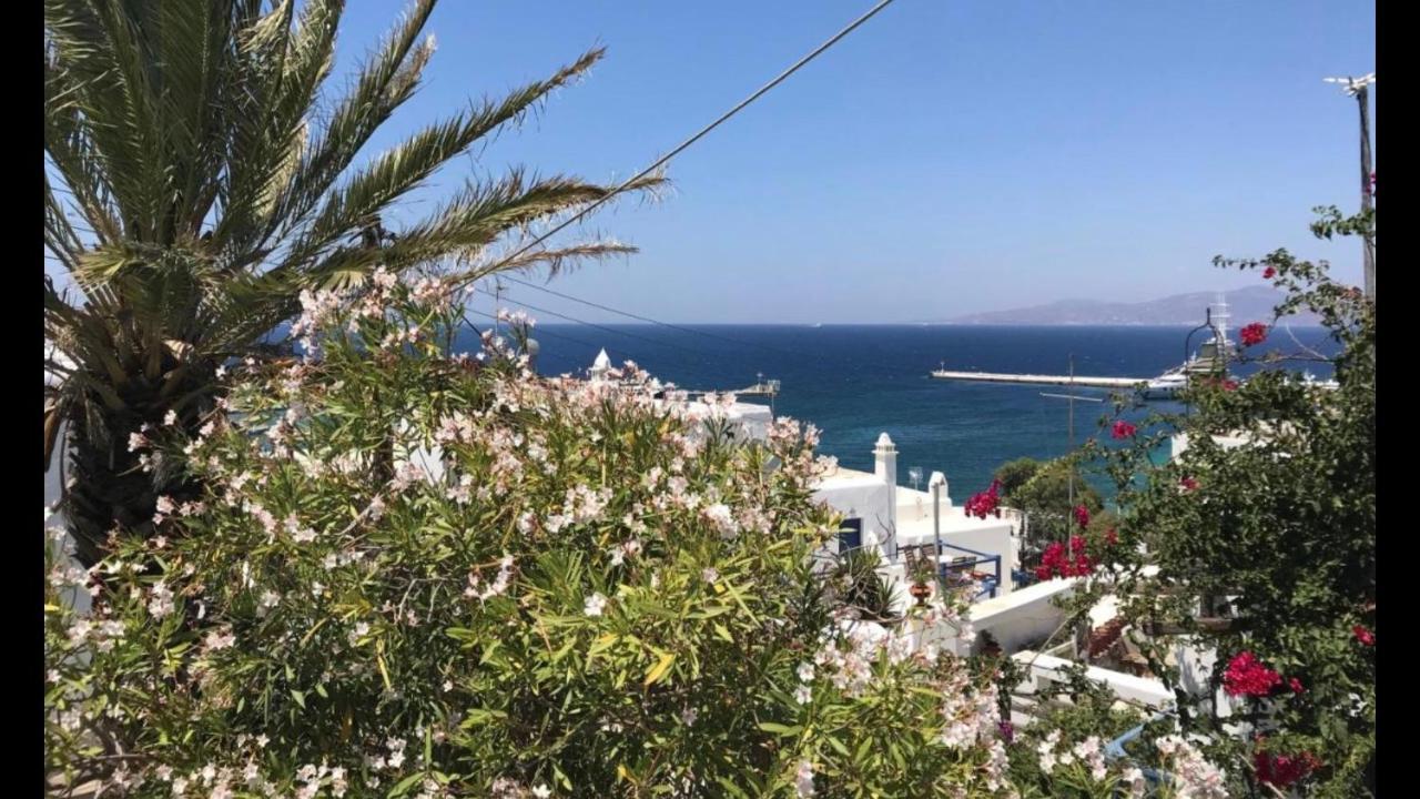 Rania Apartments Sea View Mykonos Town 外观 照片